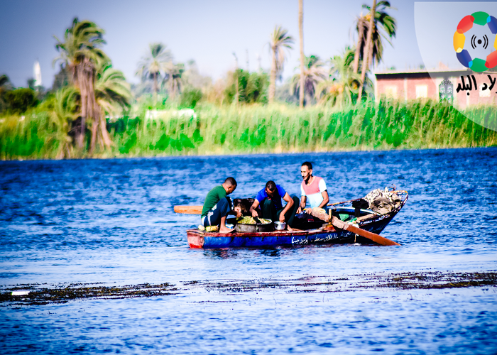 تصوير: سمر شومان