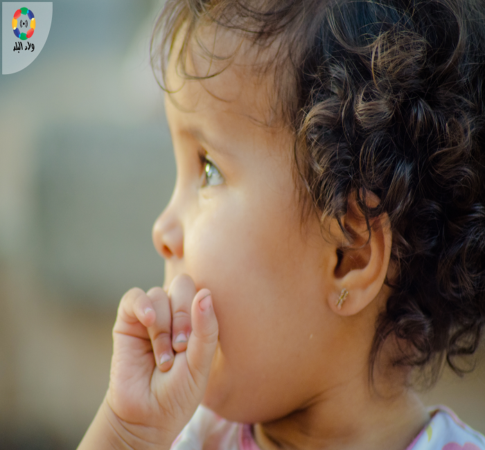 تصوير: سمر شومان