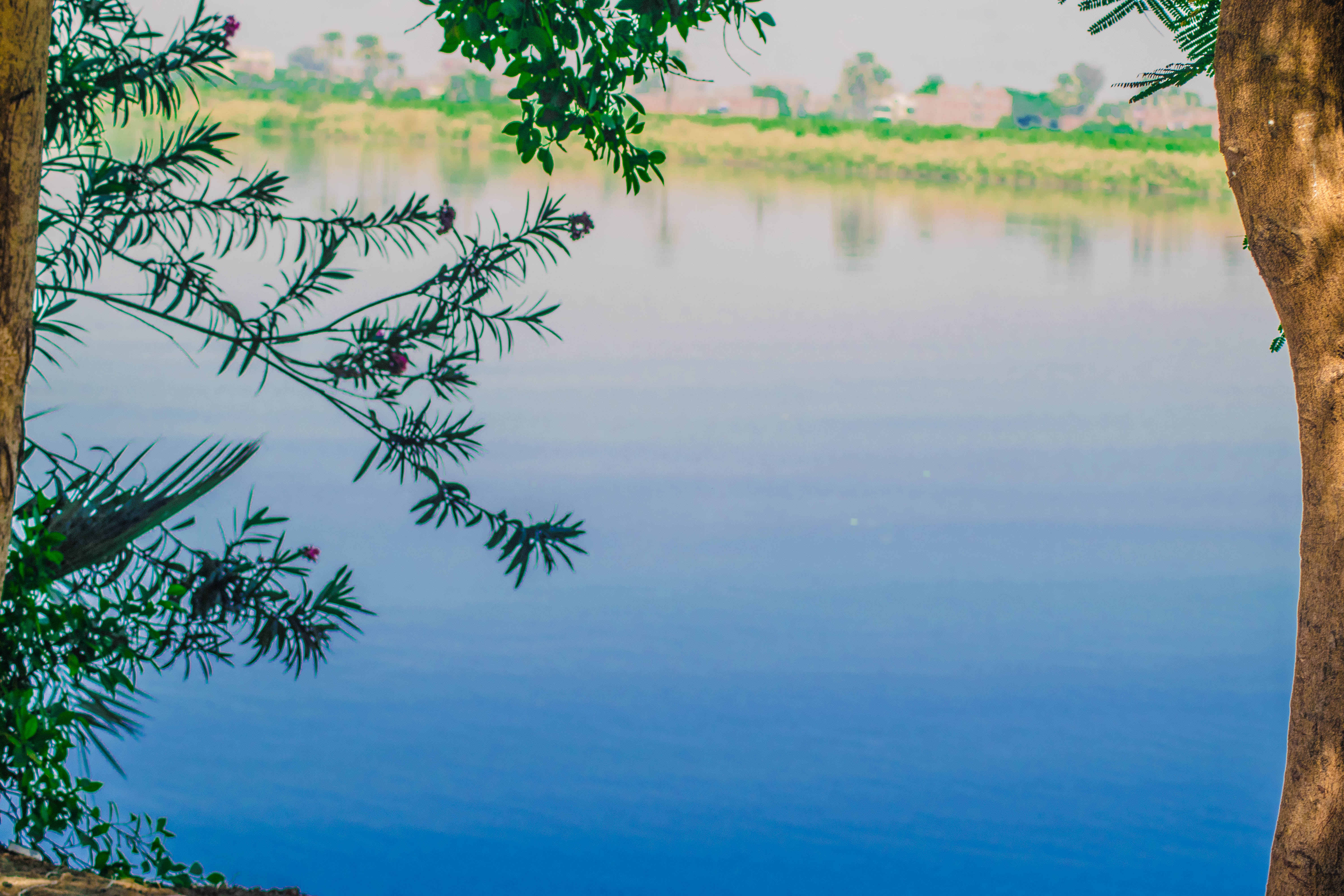 تصوير: سمر شومان