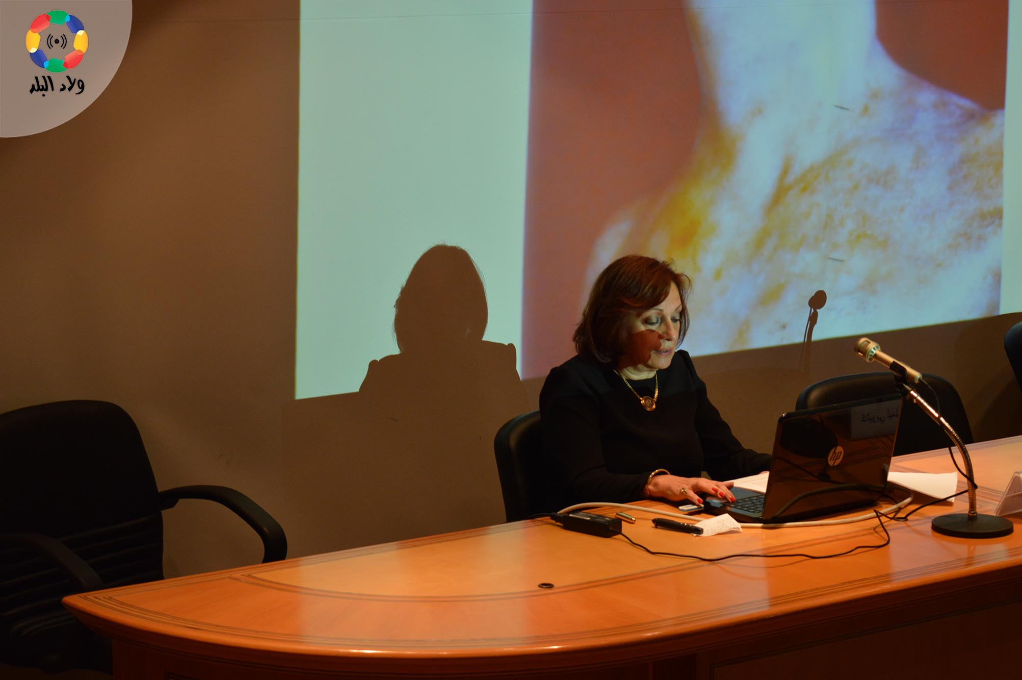 كاليوبي ليمني بابا كوستا تعرض صور و خرائط توضح موقع وطبوغرافية المربع الملكي للإسكندرية الهيلني