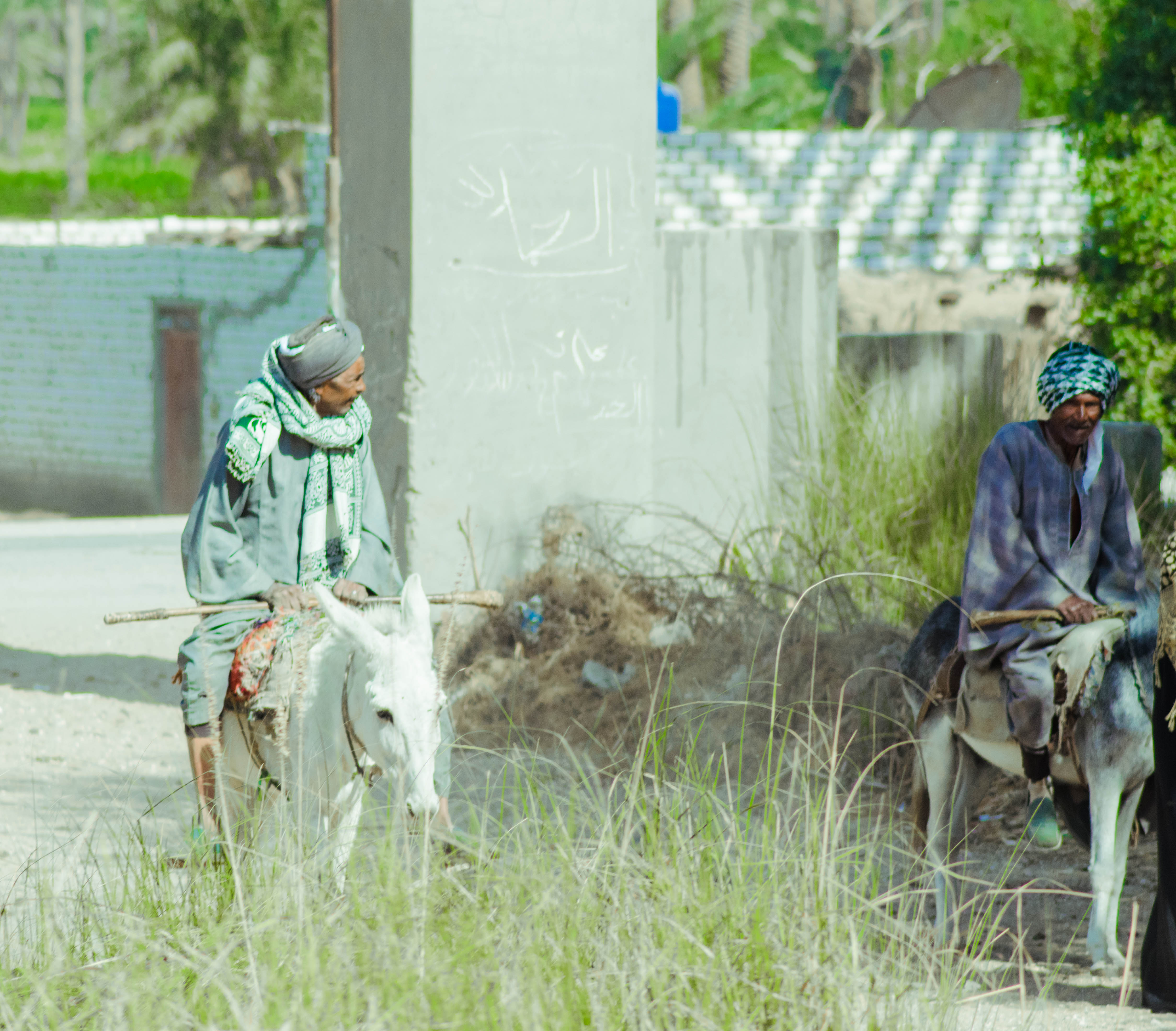 تصوير: سمر شومان