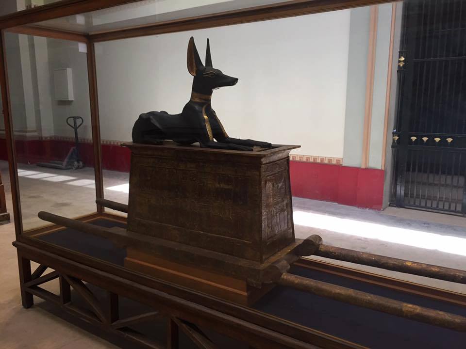 المتحف المصري - تصوير: محمد صادق