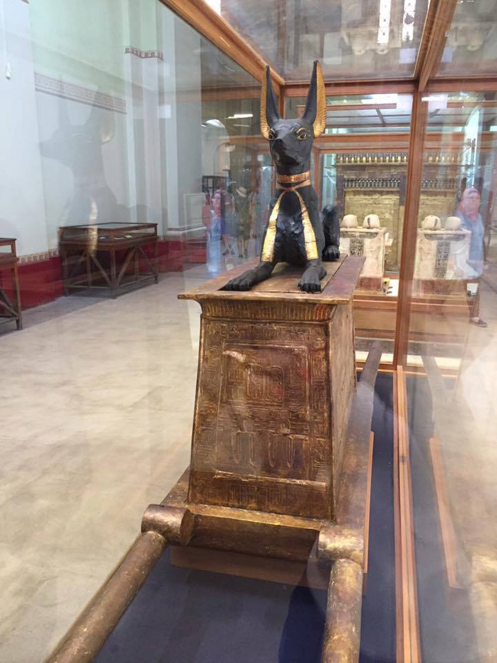 المتحف المصري - تصوير: محمد صادق