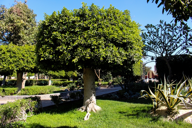 قصر أحمد باشا قرشي