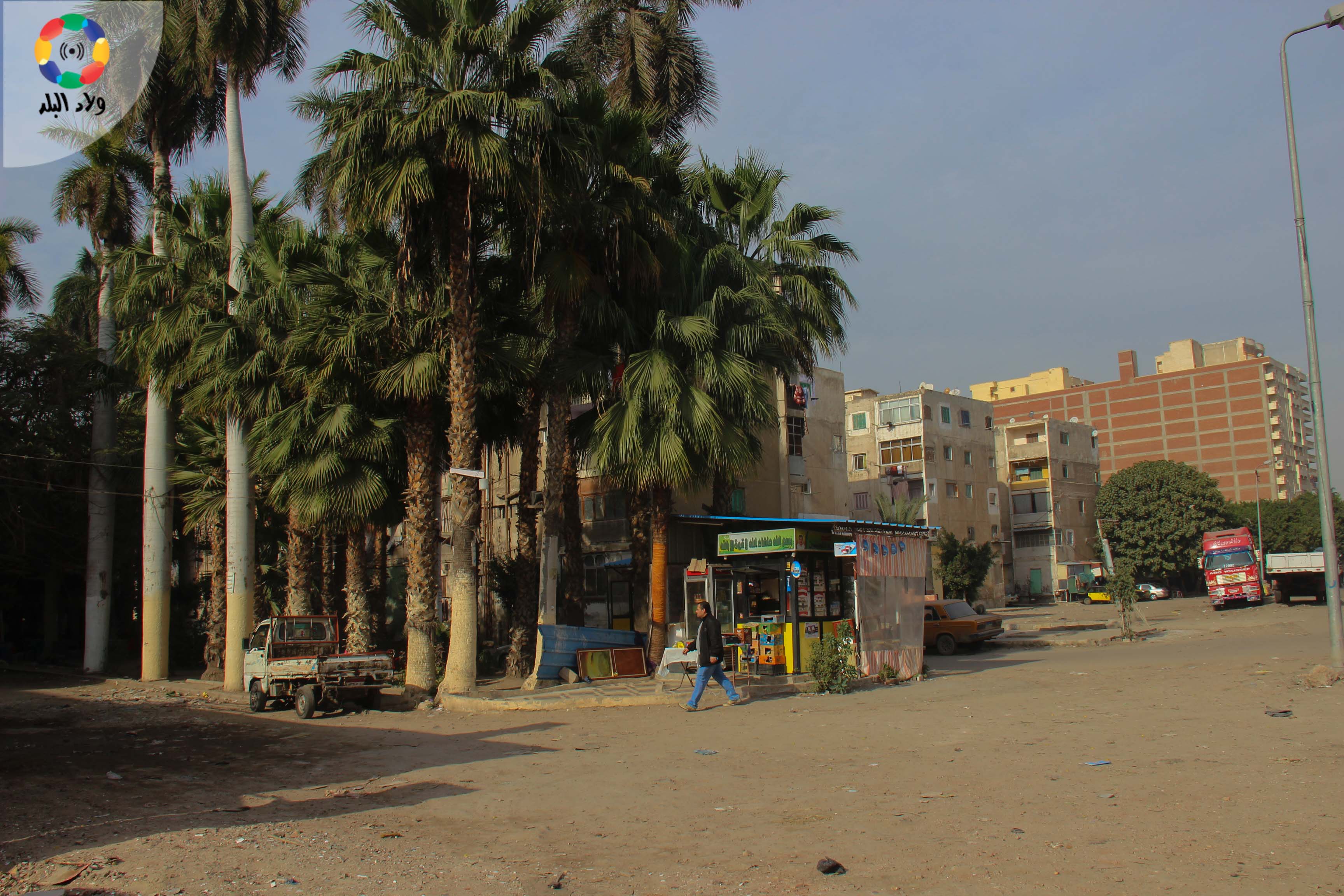 سرايا المحمودية