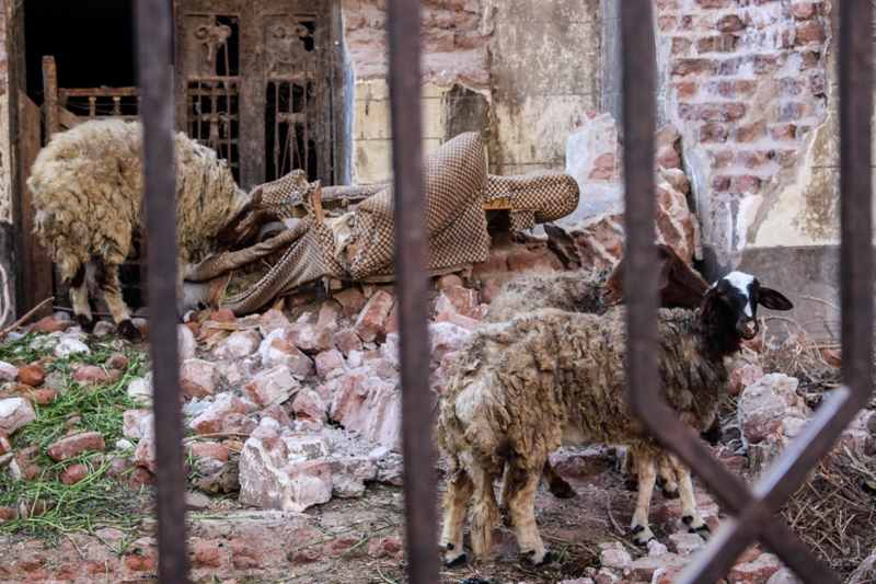 قصر زكريا باشا مهران