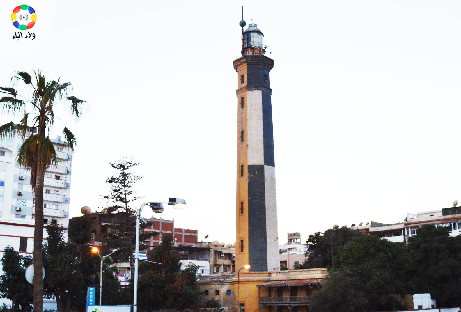 البيوت الخشب في بورسعيد