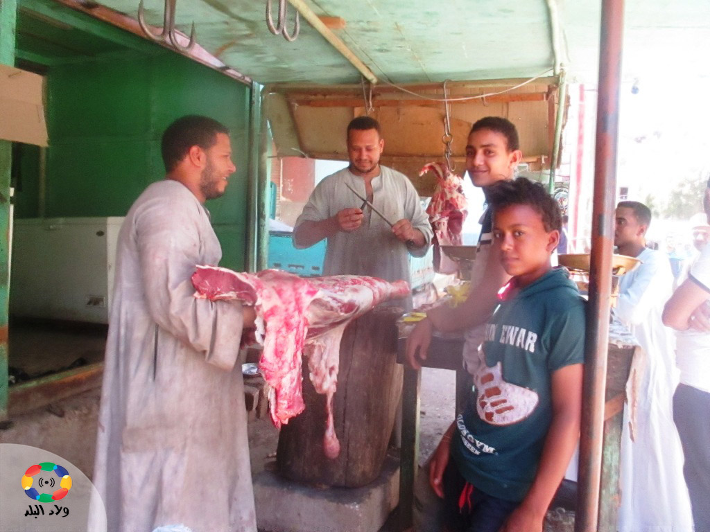 سكينة القرايب تالمة