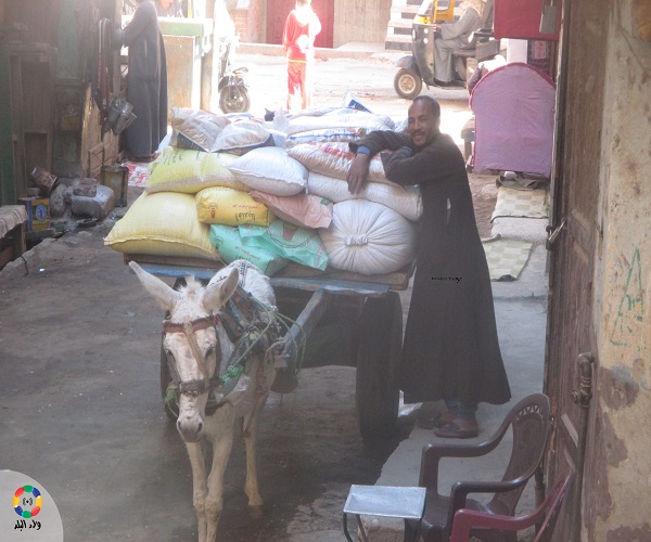 المدسوس فيه السوس