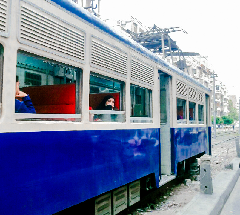 امثال مقولة اليوم