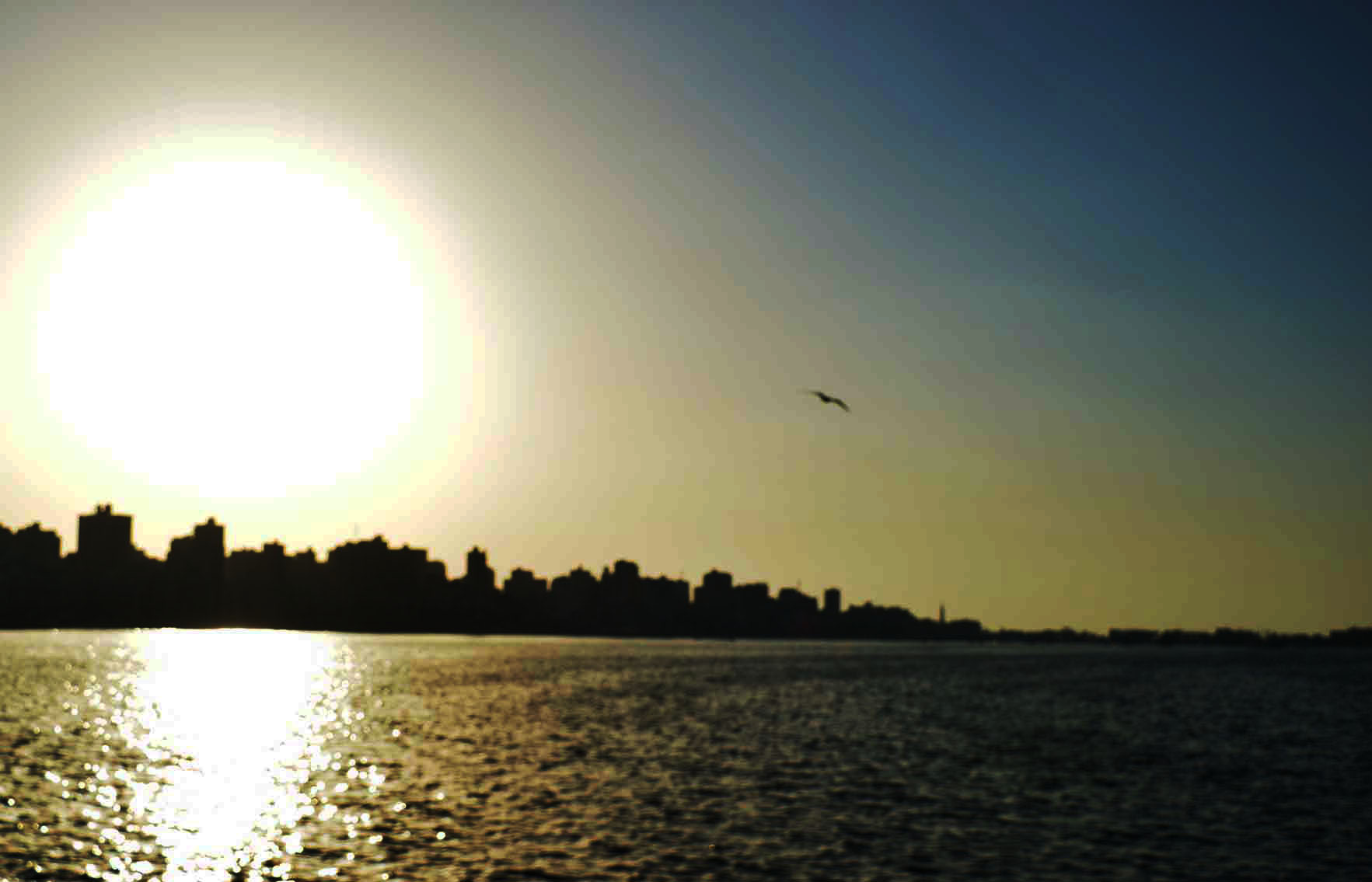 كورنيش الإسكندرية قبل الغروب تصوير نيفين سراج