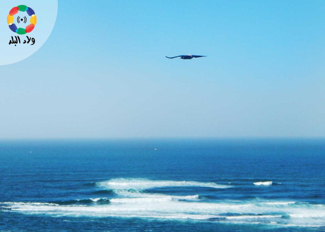 بحر الإسكندرية تصوير نيفين سراج