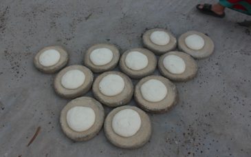 العيش الشمسي هو المعروف حاليا بدشنا