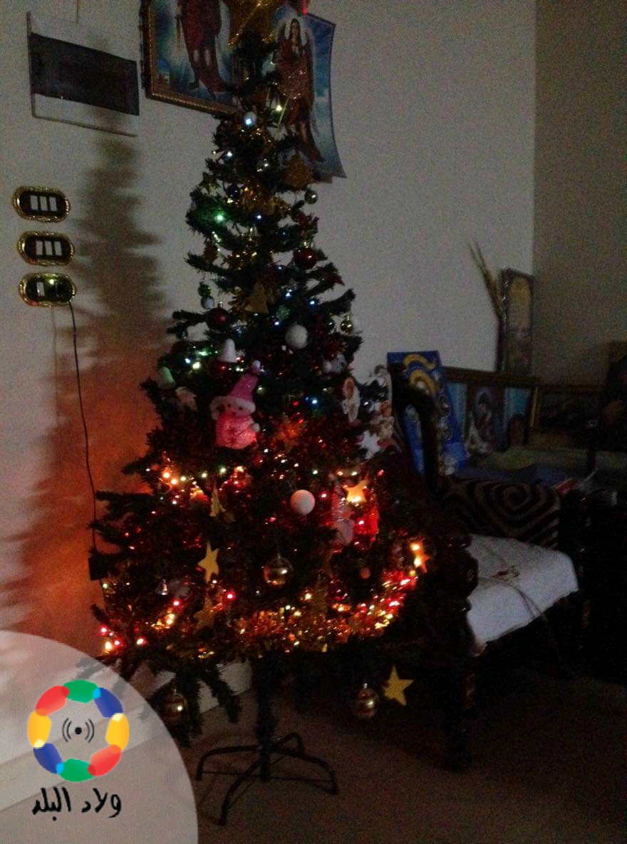 أشجار الكريسماس المزينة بالمنزل الأسيوطي