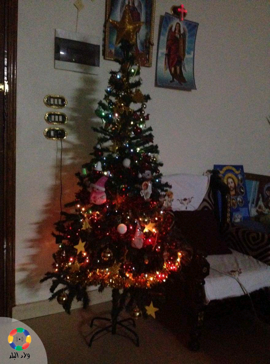 أشجار الكريسماس المزينة بالمنزل الأسيوطي