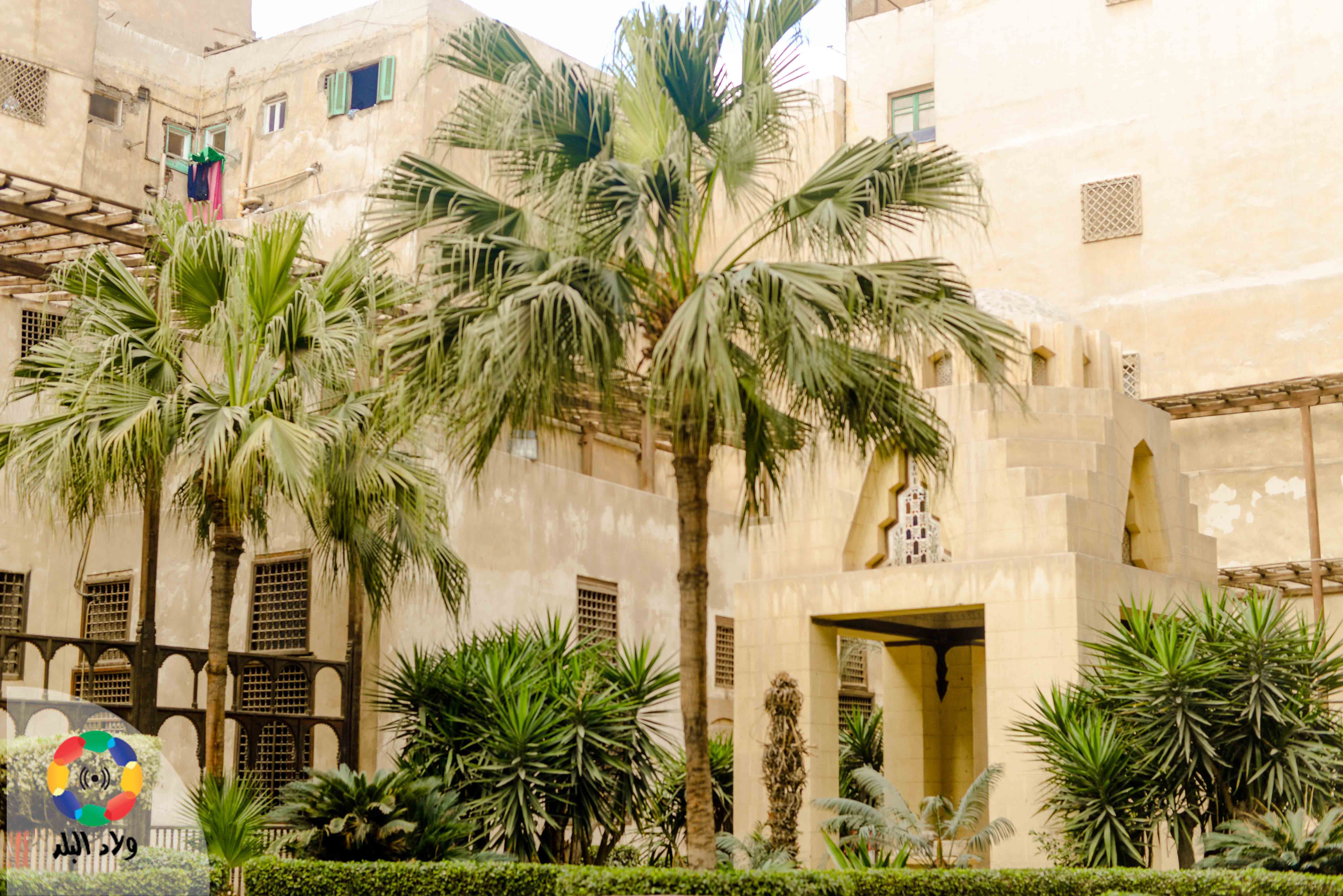  الاشجار الموجودة ببيت السيحمي تصوير سمر شومان 