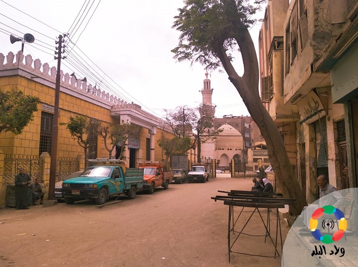 شارع الروبي بالفيوم - تصوير: منال محمود