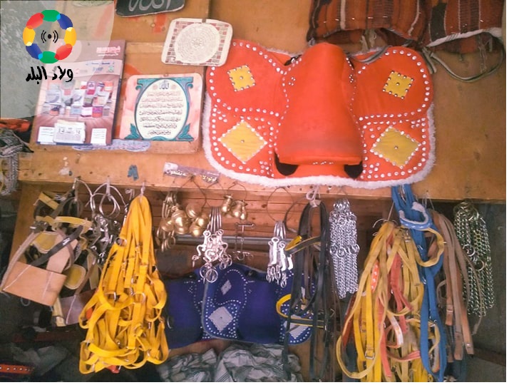 محل سروجي بشارع الروبي