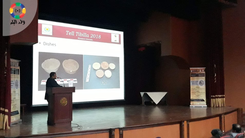 مؤتمر المسح الأثري - تصوير: دينا البلتاجي