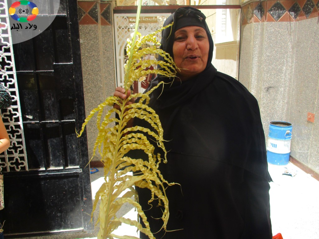 الاحتفالات بعيد الخوصة أو حد السعف بنجع حمادي- تصوير: مريم الرميحي