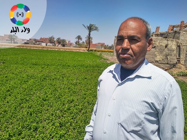  طه داهش، مهندس ومزارع للنباتات والأعشاب العطرية