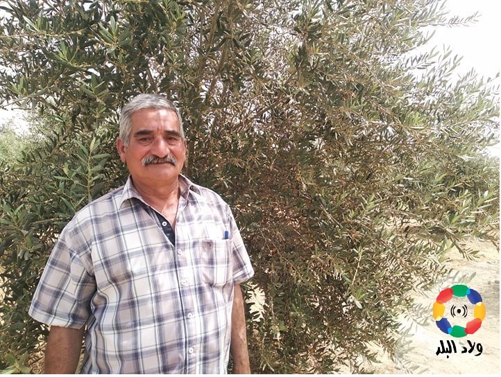 عبدالمنعم معوض، مهندس زراعي 