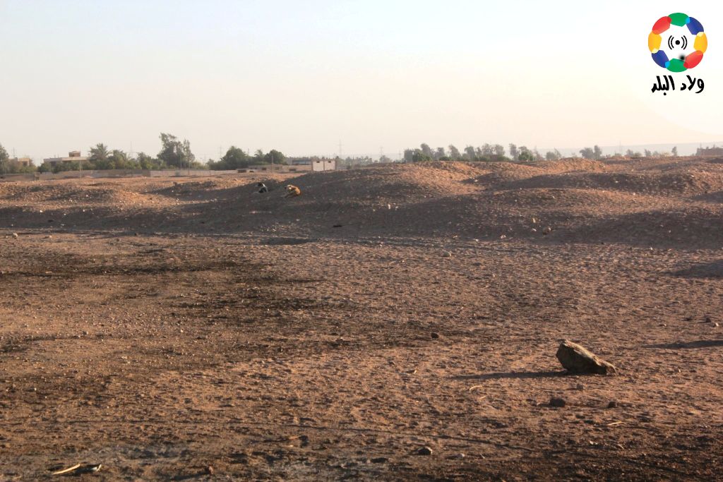 منطقة هور- نجع حمادي- تصوير: مريم الرميحي
