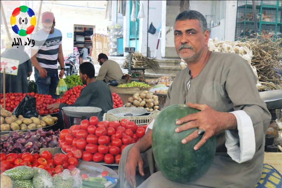 البطيخ- تصوير: أيمن الوكيل