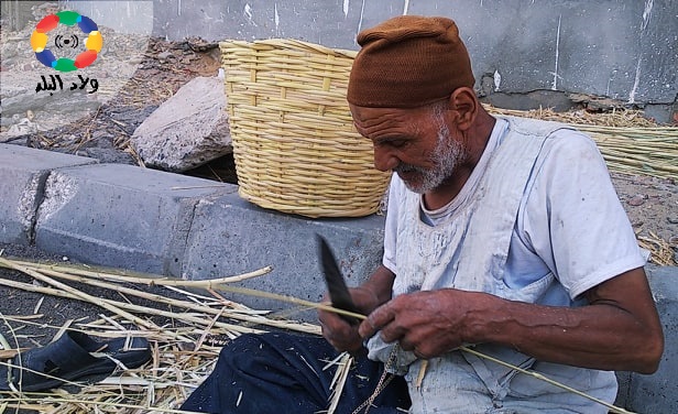 تقشير أعواد البوص