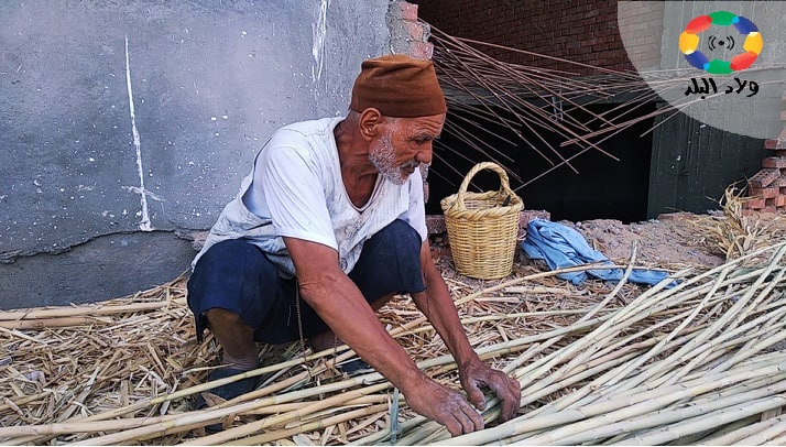 تجهيز أعواد البوص