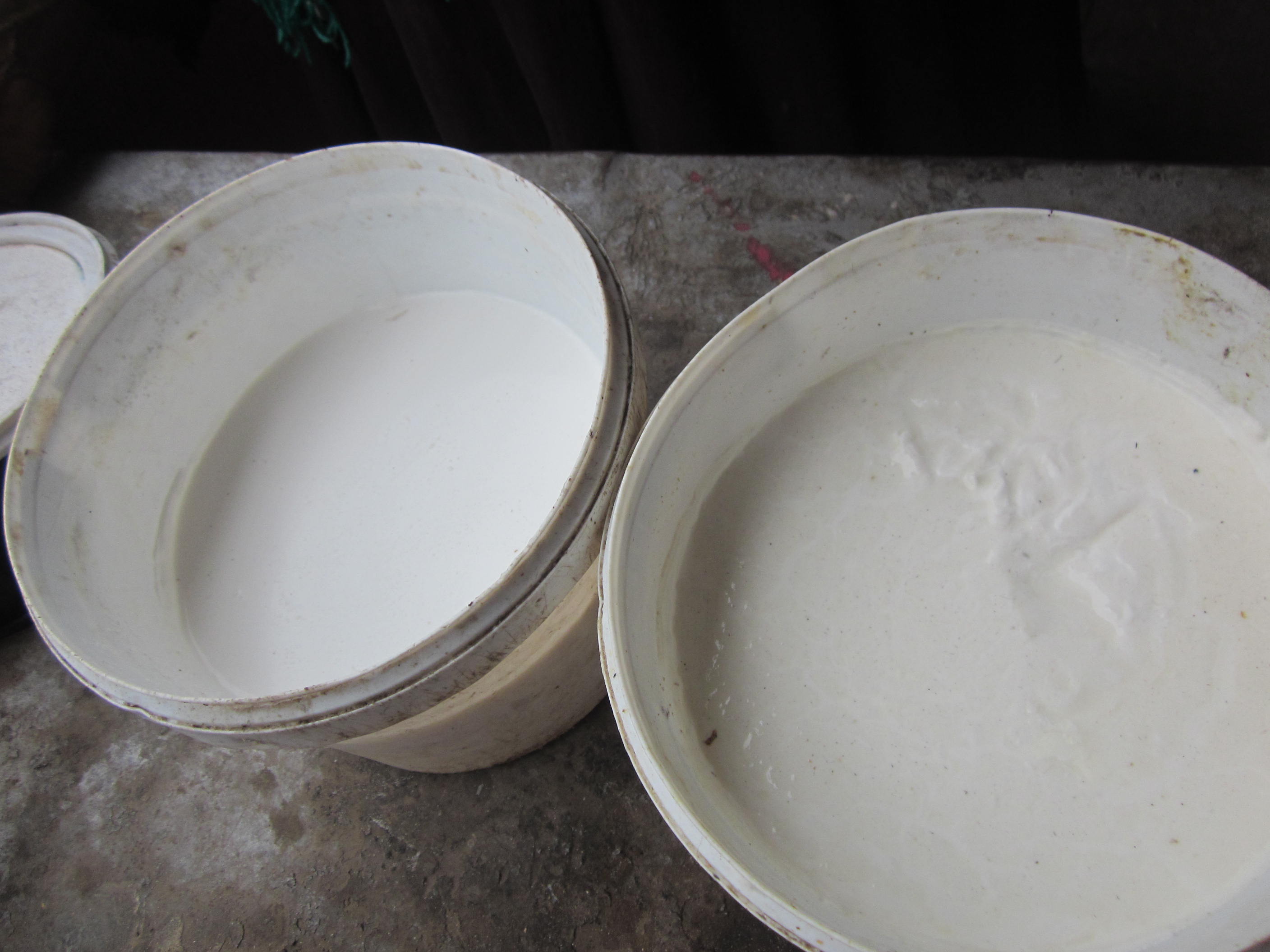 إحدى مراحل صناعة الجبنة الخضراء- تصوير: مريم الرميحي