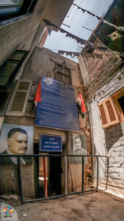 لافتات وصور الزعيم 