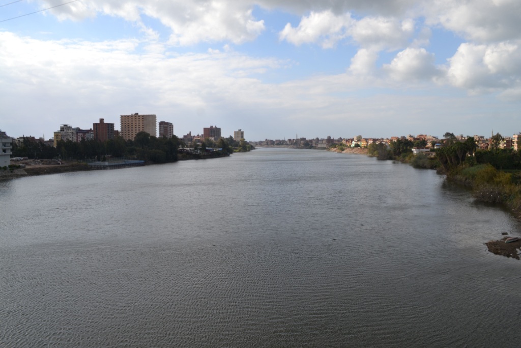 النيل من المنصورة - تصوير: محمود الحفناوي