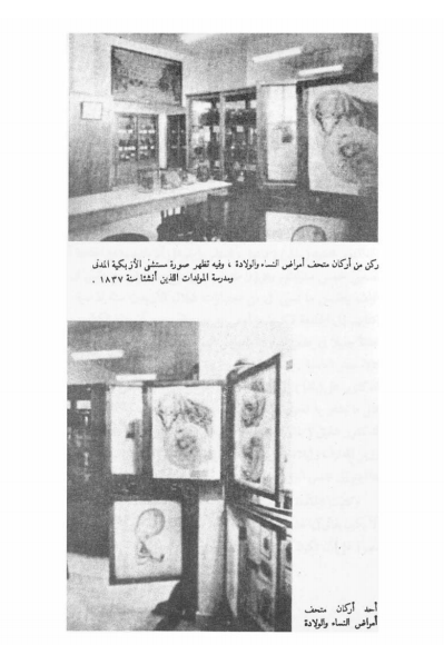 من كتاب حياة طبيب تأليف الدكتور نجيب محفوظ