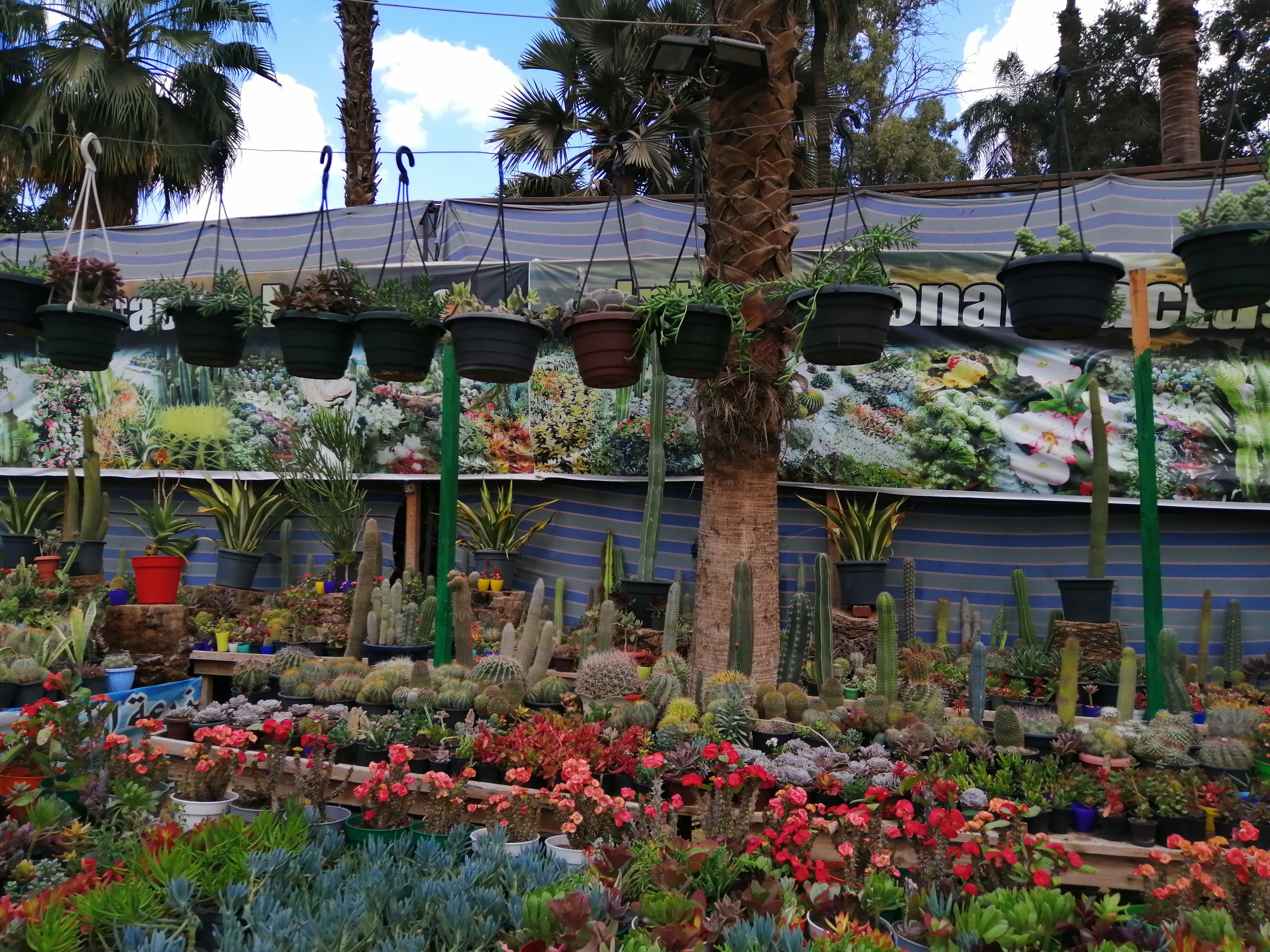 معرض الزهور بحديقة الأورمان