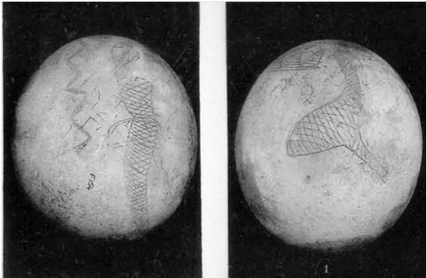 النقوش على وجهي بيضة النعامة كما نشرت في تقرير المستكشف سيسيل مالابي فيرث عام 1909.
