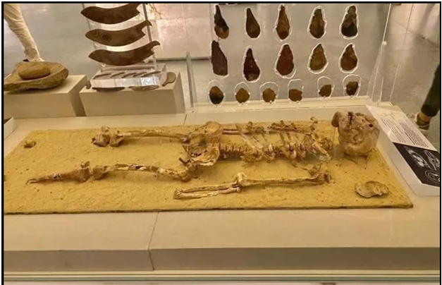 الهيكل العظمي لإنسان نزلة خاطر 2