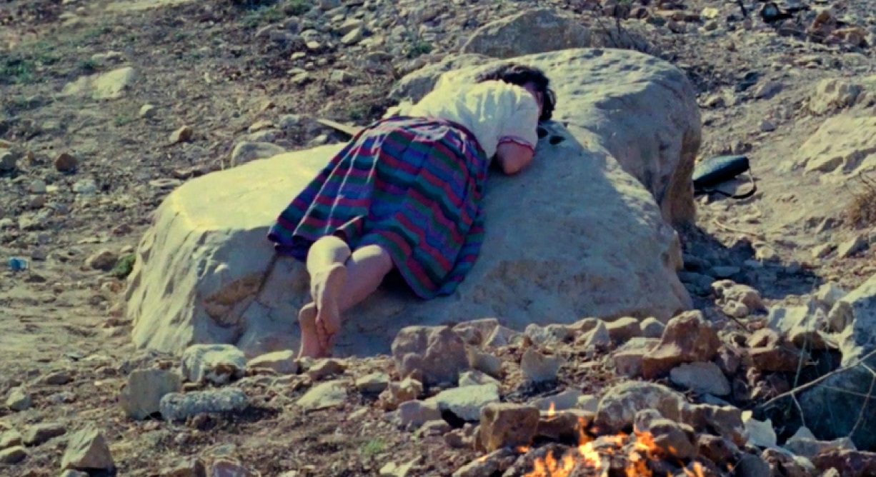 الفيلم عمل فدائي