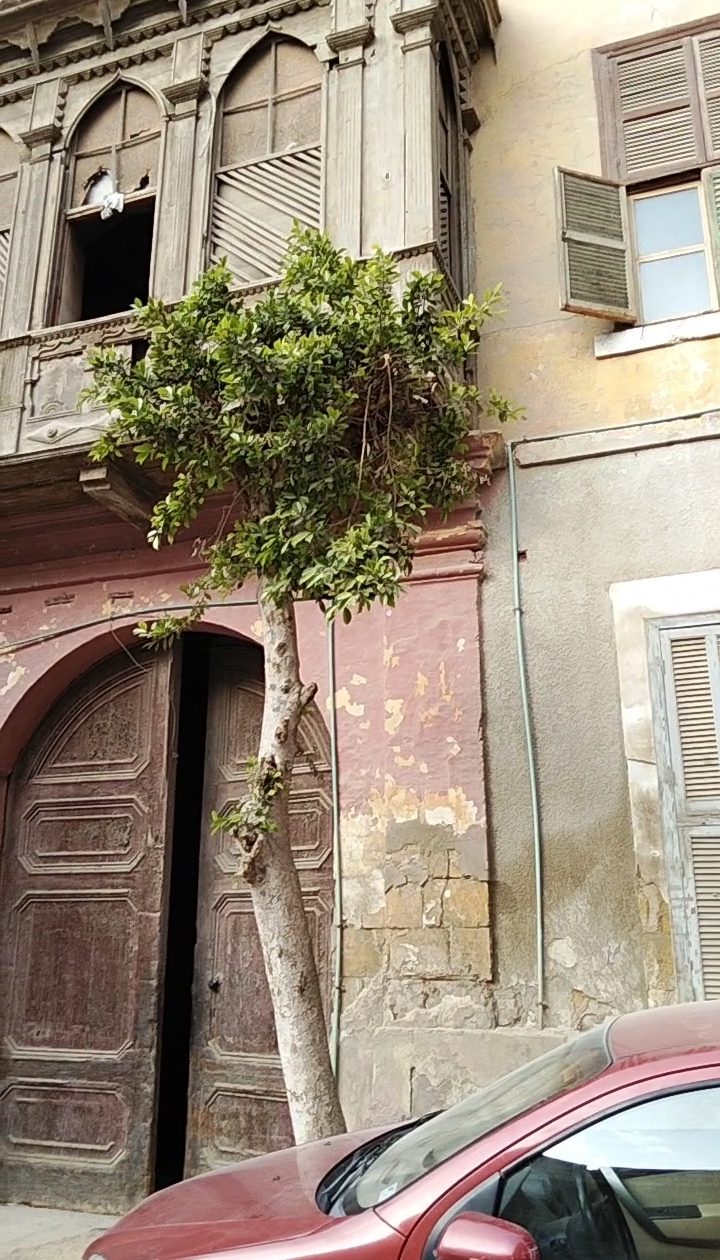 بيت المساجيري.. أقدم مبنى تراثي إنشائي غير مسجل كأثر