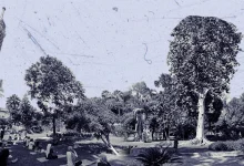 حديقة الزهرية التراثية