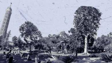 حديقة الزهرية التراثية