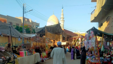 مولد ابن سلام
