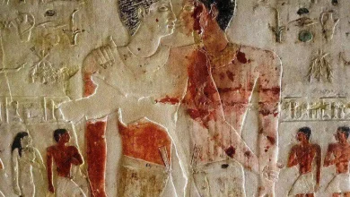 مشهد من مقبرة ني عنخ خنوم وخنوم حتب في سقارة