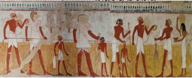 جدارية مصرية قديمة تتضمن أطفال ورجال يعملون في حقل زراعي - بحث الدكتورة صفاء عبدالرؤوف