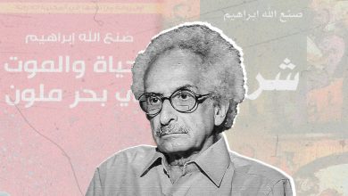 صنع الله إبراهيم