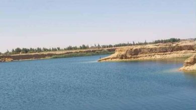 بحيرة البهنسا الصورة من سلامة زهران، مدير آثار البهنسا