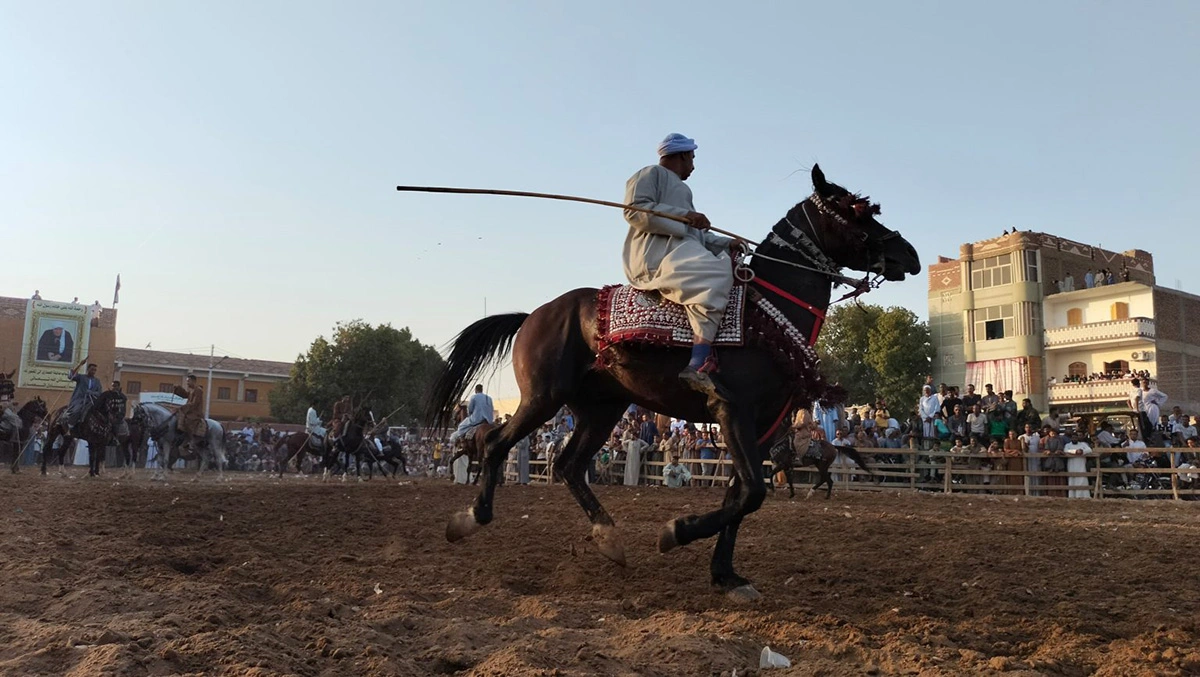 المرماح في احتفالات مولد النبي بقرية منشأة عماري.. تصوير: أبو الحسن عبدالستار