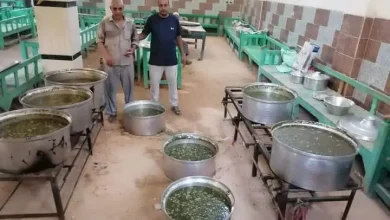 ليلة الملوخية في نجع العقاربة احتفالا بالمولد النبوي.. تصوير: أبو الحسن عبدالستار