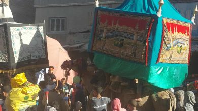 الهودج وزفة المولد.. تصوير: أسماء منتصر