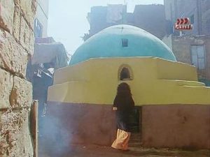 فيلم الكيت كات